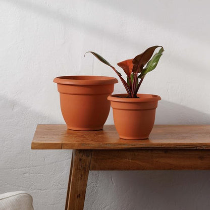 Bloem Ariana 8" Plastic Self-Watering Planter, Terra Cotta, 4-Pack | Self-watering disk at the bottom of each pot that acts as a water wick and reservoir for optimal plant health