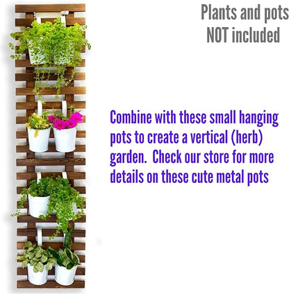 ShopLaLa Wall Planter for Climbing Plants Outdoor (150cm) Hanging Planters | Wooden Living Vertical Garden Outdoor Indoor Plant Stand Large Tall Long Ladder Vinyl Plant Hanger for Hanging Flower Pots