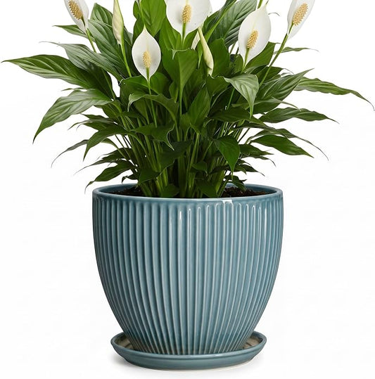 Ceramic Planter, 8 Inch Plant Pot Indoor with Drainage Hole and Saucer, Decorative Planters for Indoor Plants, Modern Flower Pots, Round Planter, Room Decor, Gifts for Plant Lovers, Glaze Blue