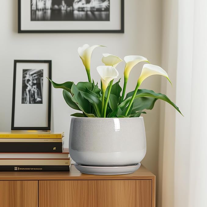 G EPGardening Ceramic Plant Pots - 9 Inch Ceramic Planters for Indoor Outdoor Plants, Modern Flower Pots with Drainage and Saucer, Round Planter, Garden Home Decor, Plant Lover Gifts, Light Grey