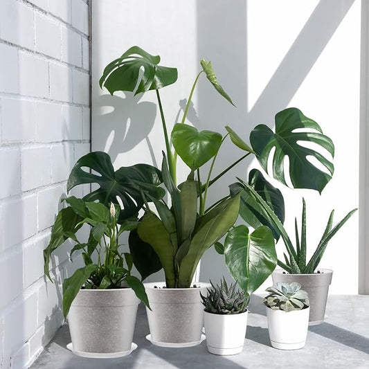 Baderke 3 Pack Clear Nursery Pot Plastic Nursery Pot Large Plant with Drainage Holes for Root Health Indoor Outdoor (13.65 Inch)