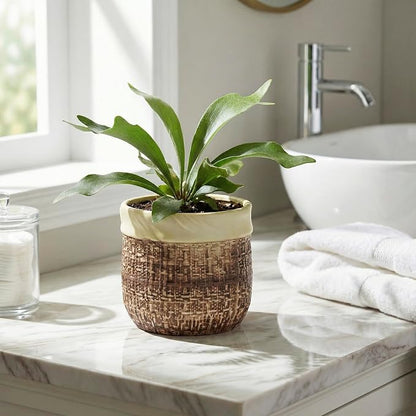 6 Inch Plant Pot - Ceramic Pots for Plants with Drainage Hole and Plug, Unique Plant Pots for Indoor Outdoor Plants, Round Planter, Room Home Decor, Gifts for Plant Lovers, Brown