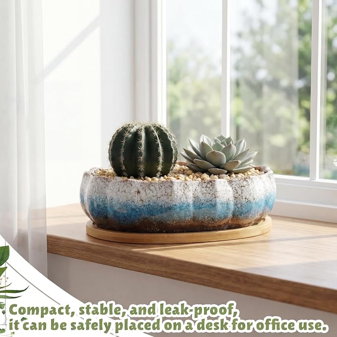 Succulent Pot 12 Inch Large Succulent Planters Ceramic Glazed Bonsai Pot with Bamboo Tray Round Shallow Planter for Indoor Cactus Flower Planter Window Box for Home Garden Decor (Blue and White)