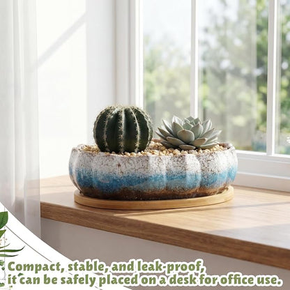 Succulent Pot 12 Inch Large Succulent Planters Ceramic Glazed Bonsai Pot with Bamboo Tray Round Shallow Planter for Indoor Cactus Flower Planter Window Box for Home Garden Decor (Blue and White)