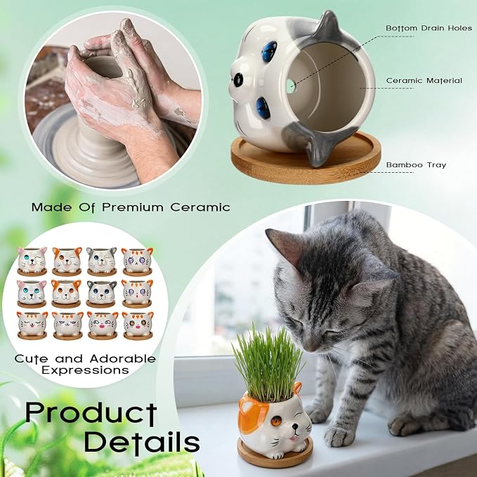 Cindeer 18 Pcs 2.5 Inch Cat Ceramic Succulent Planter Pots – Cute Cat Small Pots with Drainage Hole and Bamboo Tray for Succulents, Cactus, Home Garden Office Desk Decoration Gift Ideas