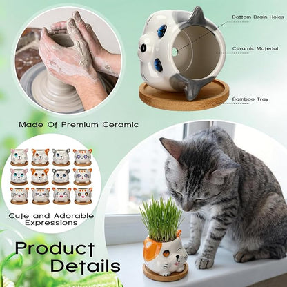 Cindeer 18 Pcs 2.5 Inch Cat Ceramic Succulent Planter Pots – Cute Cat Small Pots with Drainage Hole and Bamboo Tray for Succulents, Cactus, Home Garden Office Desk Decoration Gift Ideas