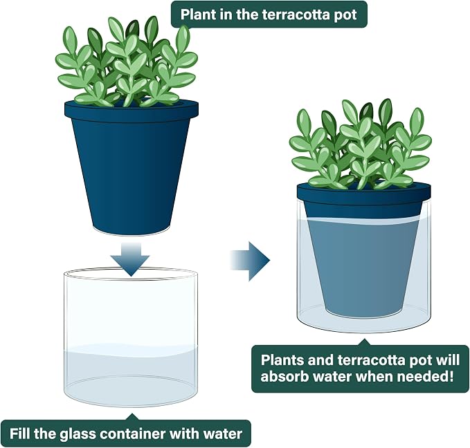 D'vine Dev 4 Inch Design Self Watering Planter for Indoor Plants, Blue Terracotta Pot with Cylinder Glass Cup, Set of 3, 37-Z-A-4-T