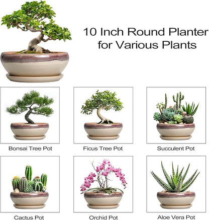 SQOWL Bonsai Tree Pots - 10 Inch Ceramic Succulent Pots, Round Shallow Planter with Drainage Hole and Tray, Bowl Planter for Indoor Outdoor Plants Flowers, Room Decor, Garden Gifts, Beige