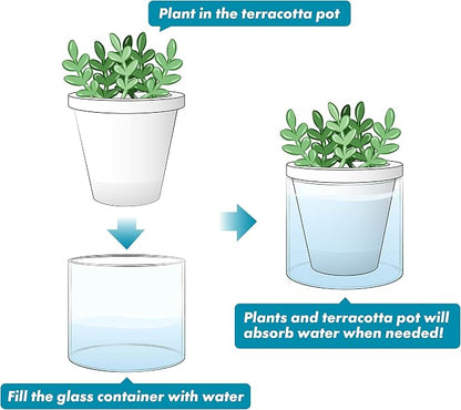 D'vine Dev 4 Inch Design Self Watering Planter for Indoor Plants, White Terracotta Pots with Cylinder Glass Cup, Set of 3, 37-Z-A-2-T