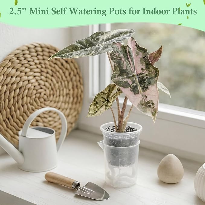 30 Pcak 2.2'' Small Self Watering Planters for Indoor Plants Mini Clear Pots with Water Level Indicator Plastic Automatic-Watering Pot with Drainage Holes for Semi-hydroponic African Violet