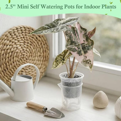 30 Pcak 2.2'' Small Self Watering Planters for Indoor Plants Mini Clear Pots with Water Level Indicator Plastic Automatic-Watering Pot with Drainage Holes for Semi-hydroponic African Violet