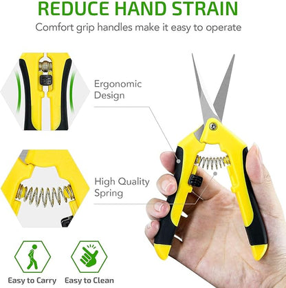 iPower 6.5 Inch Gardening Scissors Hand Pruner Pruning Shear for Gardening and Trimming, Heavy-Duty, Ultra Sharp Stainless Steel, Yellow, 10-Pack