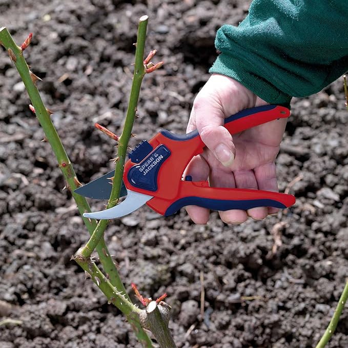 Spear & Jackson 6059BS Razorsharp Advantage Medium Bypass Pruning Shears