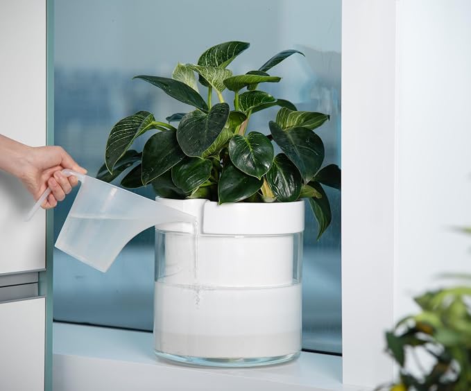 Phoenix Vine 10 Inch Self Watering Planter, White Terracotta Clay Pot with Glass Reservoir for Indoor Plants, Herbs, Flowers, Set of 1, 52-B-I-1