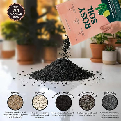 Rosy Soil Cactus & Succulent Potting Mix, 4 Quarts, Pack of 2 | Organic Succulent Potting Soil, Chunky Fast Draining, Peat-Free, Root Boosting Mix, For AloeVera, Cacti, Indoor Succulents