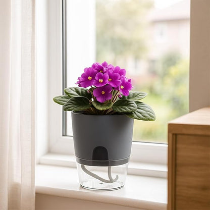 Planterhoma 6 Pack Self Watering Pots for Indoor Plants, 3.2/4/6 Inch Plant Pot Plastic Self Watering Planter for Orchid, African Violet, Small Clear Flower Pots with Drainage Holes and Wicking, Grey