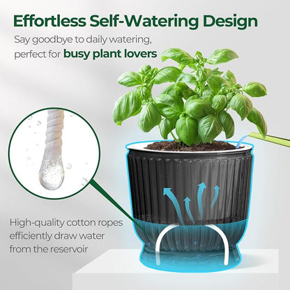 T4U 6 Inch Self Watering Pots for Indoor Plants, 4 Pack Self Watering Planter, Self Watering Pot with Reservoir, Small Self Watering Pots for Plants, African Violets (4 Pack, 6", Translucent Gray)