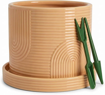6 Inch Ceramic Plant Pot with Drainage Hole & Tray – Indoor Planter for Succulents, Herbs & Houseplants – Modern Ceramic Planter with Mesh Pad, Dibber & Widger – Buttercream