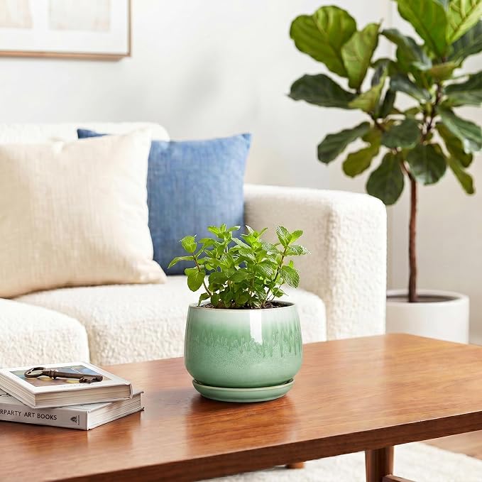 Ceramic Plant Pots - 4 Inch Pots for Plants with Drainage Hole and Saucer, Small Succulent Pot for Indoor Plants, Round Ceramic Planter, Home Office Decor, House Warming Gifts, Green