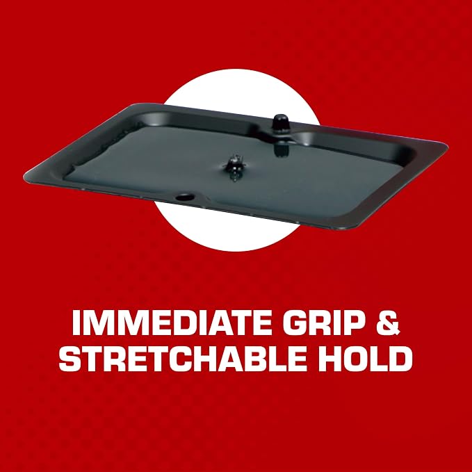Tomcat Glue Traps Mouse Size with Eugenol for Enhanced Stickiness, 6 Traps | Sticky Pads For Mice, Cockroaches, and Spiders