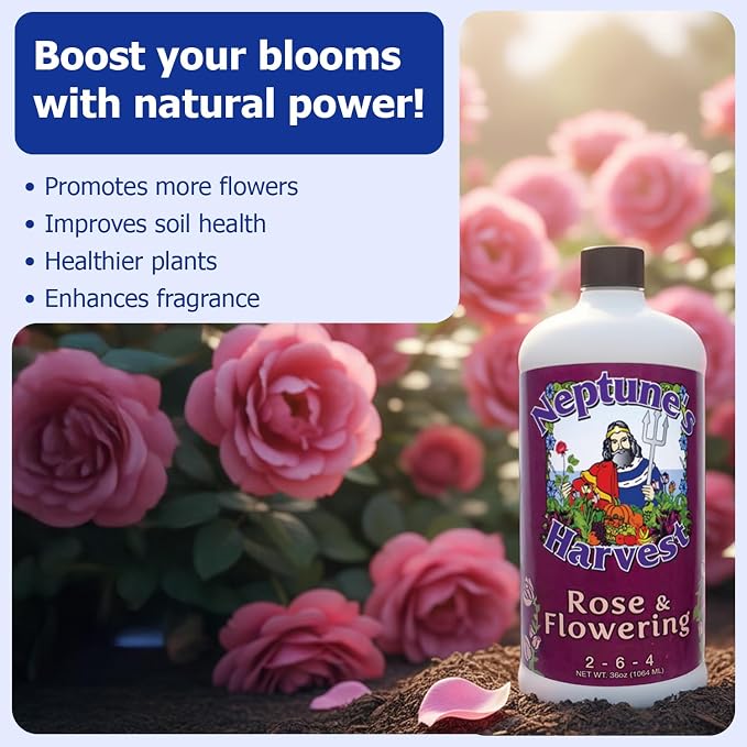 Neptune's Harvest Rose & Flowering Fertilizer (2-6-4) - 36oz Bottle - Organic Liquid Food for Vibrant Blooms & Growth - Promotes Healthy Foliage - Ideal Fertilizer for Indoor & Outdoor Use