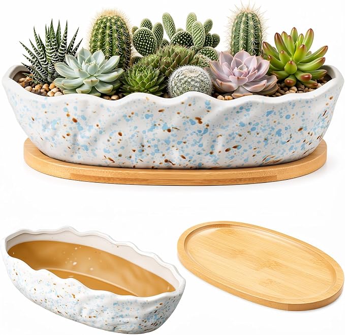 Succulent Planter Pot with Drainage Holes Large Ceramic Glazed Planter with Bamboo Wooden Tray and mesh Pads Shallow Bonsai Pot for Indoor Cactus Flower Plant(Wave-Shaped,Speckle)