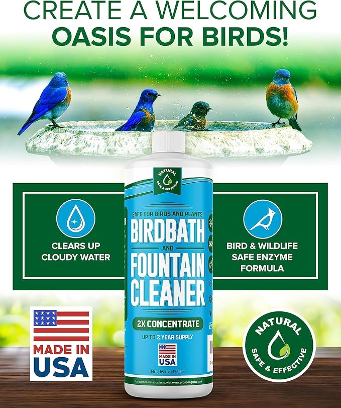 Birdbath & Fountain Cleaner - 16 oz Fountain Maintenance Outdoor Indoor - Bird Bath Cleaner