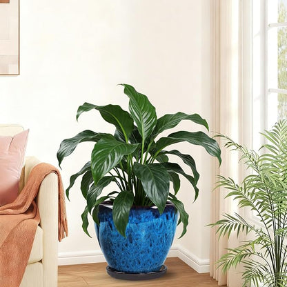 Ceramic Plant Pots with Saucer,10 inch Glaze Large Planters for Indoor Plants with Drainage Holes, Decorative Flower Pots Outdoor,Modern Orchid Pots for Home Room Decor