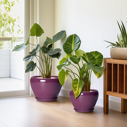 10+8+6 Inch Ceramic Plant Pots, Ceramic Planter for Indoor Outdoor Plants, Round Planter with Drainage Holes and Saucers, Indoor Flower Pots, Room Decor, Housewarming Gift, Set of 3, Purple