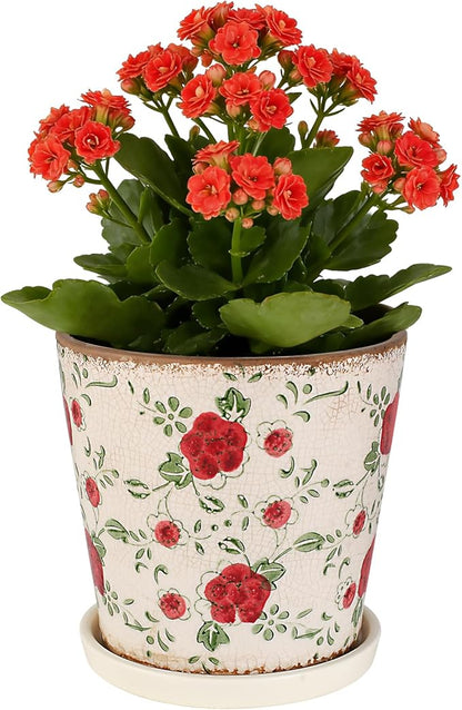 Ceramic Flower Pots For Indoor Plant, 5.5 Inch Small Ice Crack Plant Pots With Drainage Hole & Saucer, Decorative Vintage Planters For Succulent Herb Cactus Mint Basil, Garden Pot For Home Decor