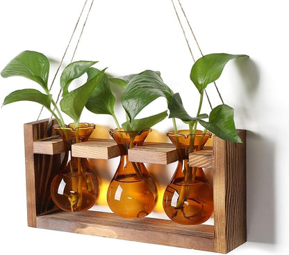 Plant Propagation Station Plant Terrarium Unique Birthday Gifts for Women | Plant Lovers Home Office Decor Planter with Wooden Stand - 3 Bulb Glass Vase