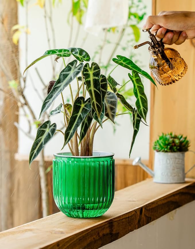 Melphoe Self Watering Pots for Indoor Plants Planter, 5.3 Inch 2 Pack Planters Self Watering Plant Pots for Flower, Houseplants, Succulent, African Violets and Cactus with Drainage