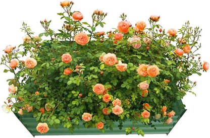 4x4x1ft Green Metal Raised Garden Bed Kit, Galvanized Outdoor Planter Box for Vegetables, Flowers, Herbs, and Succulents,120 Gallon Capacity