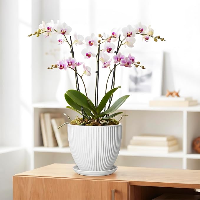 8 Inch Plant Pot, Ceramic Planters for Indoor Plants, Round Pots for Plants with Drainage Hole and Saucer, Modern Decorative Flower Pots, Office Bedroom Decor, Gifts for Plant Lovers, White