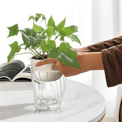 6 Inch Self Watering Pots for Indoor Plants, 2 Pack Self Watering Planter, Self Watering Pot with Reservoir, Clear Self Watering Pots for Indoor Plants, African Violets (2 Pack, 6", Clear)
