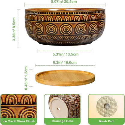 Eightpot Bonsai Pots 8 Inch - Ceramic Succulent Planters for Indoor Plants, Shallow Plant Pots with Drainage Hole and Saucer, Boho Round Planter Bowl, Office Decor, Brown