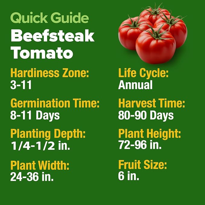 HOME GROWN Beefsteak Tomato Seeds 300+ Heirloom Non-GMO Seeds for Planting, High Germination, Indeterminate, Large Meaty Slicing Tomato, High Yield Summer Vegetable Garden (Solanum lycopersicum)