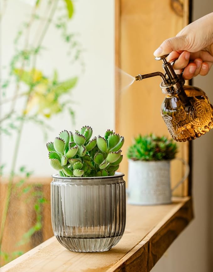 Melphoe Self Watering Pots for Indoor Plants Planter, 4.3 Inch 2 Pack Planters Self Watering Plant Pots for Flower, Houseplants, Succulent, African Violets and Cactus with Drainage