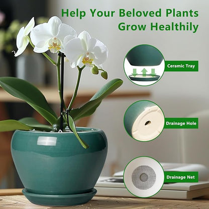 Ceramicfor Ceramic Planter for Indoor Plants 10 Inch - Ceramic Plant Pot with Drainage Hole and Saucer, Glaze Round Modern Decorative Planter, Plant Lover Gifts, Home Room Office Decor, Green