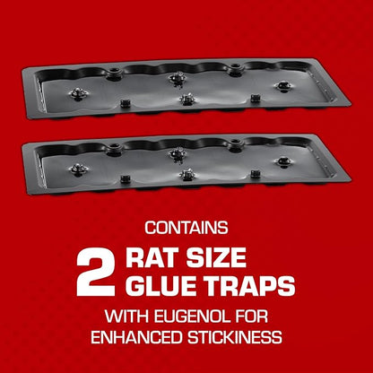 Tomcat Glue Traps Rat Size with Eugenol for Enhanced Stickiness, 24 Traps | Also Captures Mice, Cockroaches, Snakes, Scorpions, and Spiders, Ready-to-Use, 6 Packages with 4 Glue Traps Each