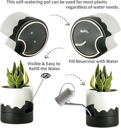 Nihow Self Watering Plant Pot, 8 Inch, White & Wave Black | Ceramic Planter, Drainage Hole & Water Storage Plus, Cylinder Round Flower Pot, Indoor & Outdoor, For Succulent/Herbs/Violets