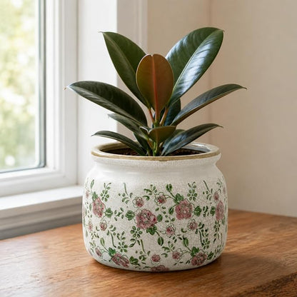 Dosayes Large Ceramic Pot for Planters, Ice Crack Glazed Flower Pot with Drainage Holes,5.91inch Vintage Planters for Indoor and Outdoor (RED)