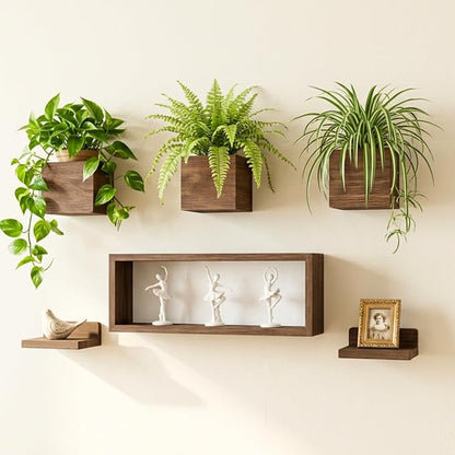 LaLaGreen Wood Planter Box for Indoor Plants (6 Pack) Hanging Wall Planters | Wall Planters for Dried Flowers Wall Mount Greenery Decor Living Room, Bedroom, Kitchen, Office Home Garden