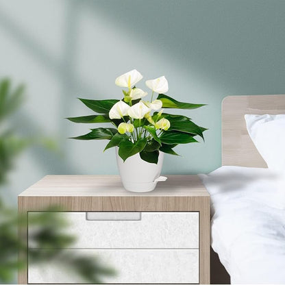 Vanslogreen Plant Pots, 7/6.5/6/5.5/5 Inch Self Watering Planters, Pots for Indoor Plants with Drainage Hole for Succulents, African Violet (Matte White)