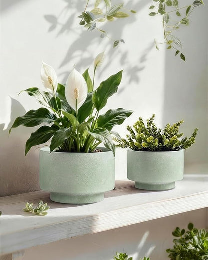 Succulent Pots, 8 Inch + 6 Inch Plant Pots for Plants with Drainage Hole, Indoor Outdoor Ceramic Planter, Set of 2 Round Flower Pots for Succulent and Plants, Green