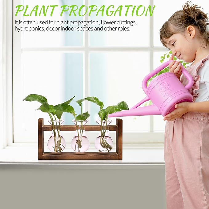 Plant Propagation Station Plant Terrarium Unique Birthday Gifts for Women | Plant Lovers Home Office Decor Planter with Wooden Stand - 3 Bulb Glass Vase