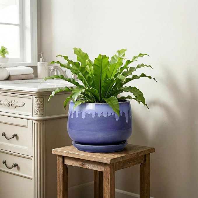 Ceramic Planter for Plants- 9 Inch Plant Pots Indoor with Drainage and Saucer, Decorative Planters, Durable Round Indoor Flower Pot, Garden Room Decor, Plant Gifts for Women Men, Blue