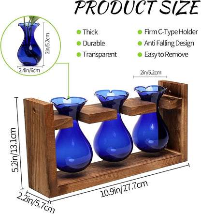 Plant Propagation Station Plant Terrarium Unique Birthday Gifts for Women | Plant Lovers Home Office Decor Planter with Wooden Stand - 3 Bulb Glass Vase