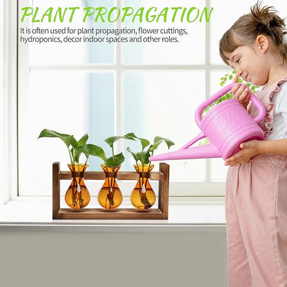 Plant Propagation Station Plant Terrarium Unique Birthday Gifts for Women | Plant Lovers Home Office Decor Planter with Wooden Stand - 3 Bulb Glass Vase