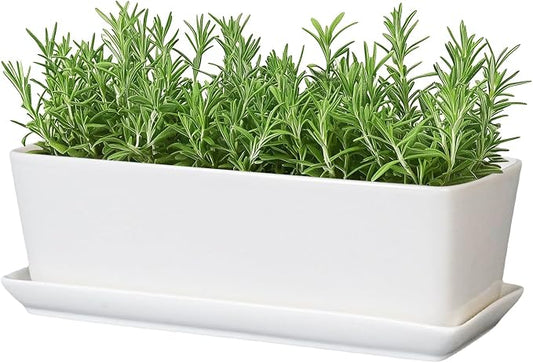 SQOWL Rectangular Planter - 10 Inch Ceramic Pots for Plants with Drainage Hole and Saucer, Succulent Pots for Indoor Outdoor, Cactus Herb Planter, Home Decor, Gifts for Plant Lovers, Glossy White